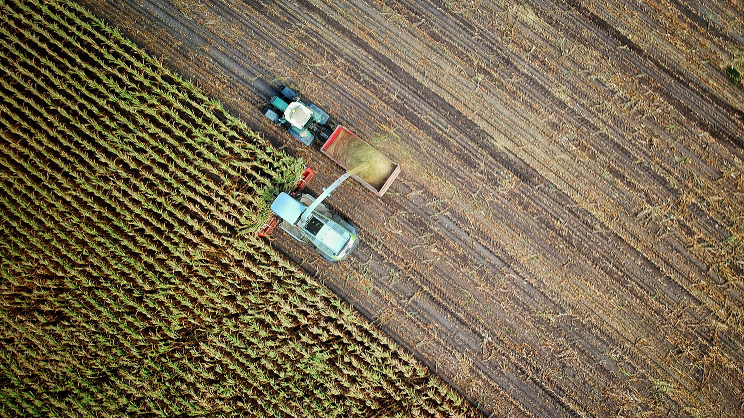 Agricultură